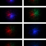 Astronaut Projektor vs Galaxy Projektor: Vergleich 2025